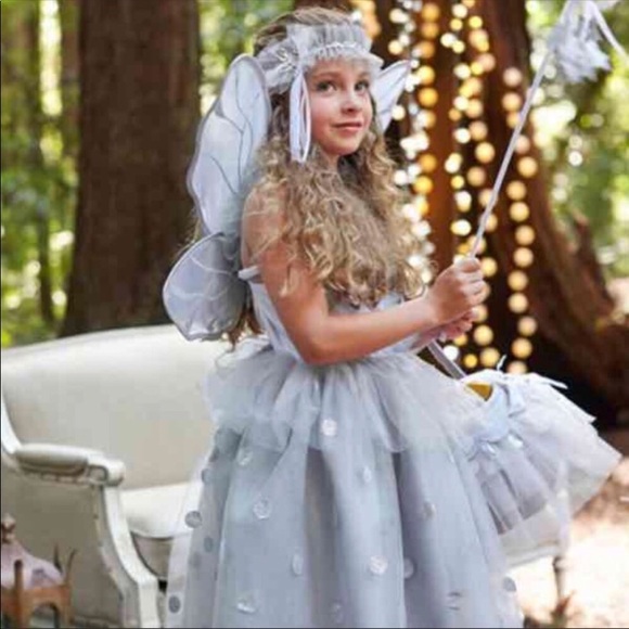 Pottery Barn Kids Costumes Fairy Halloween Costume 46 Poshmark